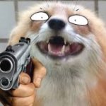 fox with a gun