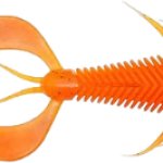 BOOBROACH