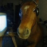 Horse on computer