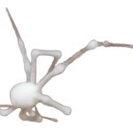 White Spider 2