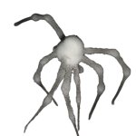 White spider 7