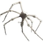 White spider 8