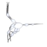 White spider 9