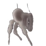 White spider 10