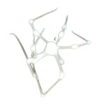White spider 11