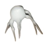 White spider 14