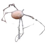 White spider 19