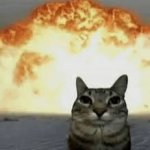 Exploding kittens