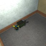 Cam3 bowser