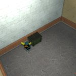 Cam3 bowser2