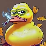 The duck