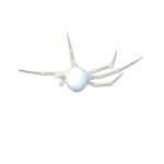 White spider 20