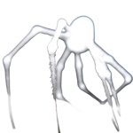 White spider 26