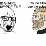 Yall sound so goofy | NO!!! GRAPE
UNALIVE PDF FILE; Your'e allowed to use the actual words | image tagged in soyboy vs yes chad,memes,funny,so true,relatable | made w/ Imgflip meme maker