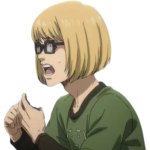 armin alt