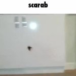 go my scarab GIF Template