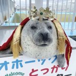 King