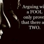 Arguing with a fool a fool only proves that there are two fools