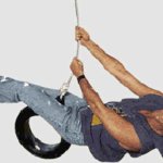 David Hasselhoff Swing