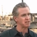 Newsom GIF Template