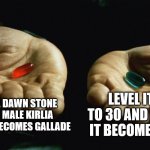 tricky decision man | USE A DAWN STONE ON A MALE KIRLIA AND IT BECOMES GALLADE; LEVEL IT UP TO 30 AND WATCH IT BECOME A MILF | image tagged in red pill blue pill,gallade,pokemon memes,gardevoir,memes,funny | made w/ Imgflip meme maker