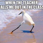 Bird Beach Scared Foot | WHEN THE TEACHER CALLS ME OUT IN THE CLASS | image tagged in bird beach scared foot | made w/ Imgflip meme maker