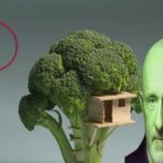 the rot consumes meme