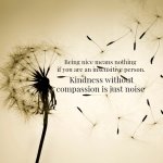 Compassion | Being nice means nothing
 if you are an insensitive person. Kindness without compassion is just noise | image tagged in dandelion | made w/ Imgflip meme maker