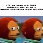 SPAWNISM SUCKS | POV: You just got on to TikTok and the first video you see is "SPAWNISM IS A RELIGION PRAISE THE SPAWN" | image tagged in memes,monkey puppet | made w/ Imgflip meme maker