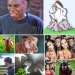 Funny meme