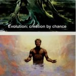 evolution special creation