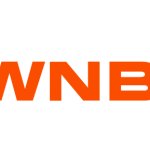 WNBA logo