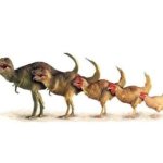 Dinosaur species