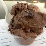 Frozen custard