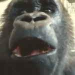 Gorilla Eating GIF Template