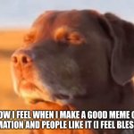 fr | HOW I FEEL WHEN I MAKE A GOOD MEME OR ANIMATION AND PEOPLE LIKE IT (I FEEL BLESSED) | image tagged in let me know dog | made w/ Imgflip meme maker
