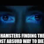 "My dog died peacefully in his sleep" vs "my hamster spontaneously combusted after eating an ingot of uranium" | HAMSTERS FINDING THE MOST ABSURD WAY TO DIE | image tagged in gifs,hamster,crazy,funny,why,pets | made w/ Imgflip video-to-gif maker
