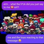 what the heck did you just say meme