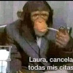 Chimp Freud