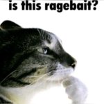 Is this ragebait?