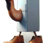 Frigo Camelo
