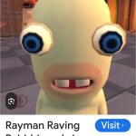 The rabbit from Mario meme