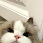 When you wake up from a nap and forget which dimension you’re in