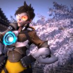 tracer