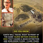 Mass Extinction or No Social Security meme