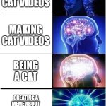 cat meme | WATCHING CAT VIDEOS; MAKING CAT VIDEOS; BEING A CAT; CREATING A MEME ABOUT BEING A CAT WATCHING CAT VIDEOS | image tagged in memes,expanding brain | made w/ Imgflip meme maker