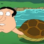 Quagtle meme