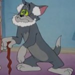 Old tom cat