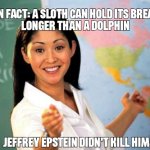 Epstein meme