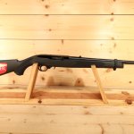 Ruger 10-22 stock standard rifle